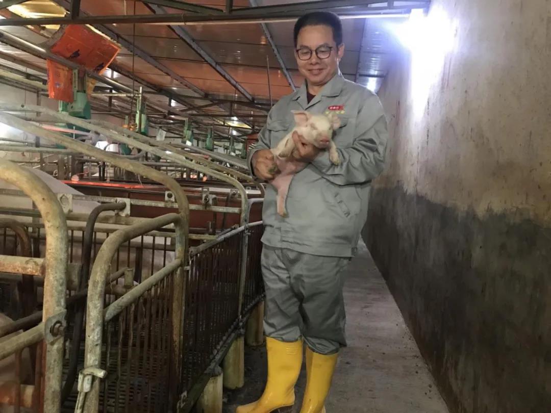 【“五一劳模谈”系列报道之一】艰苦奋斗决心扎根基层，只争朝夕奉献养猪事业——记省食出宝山猪场总经理刘定发同志