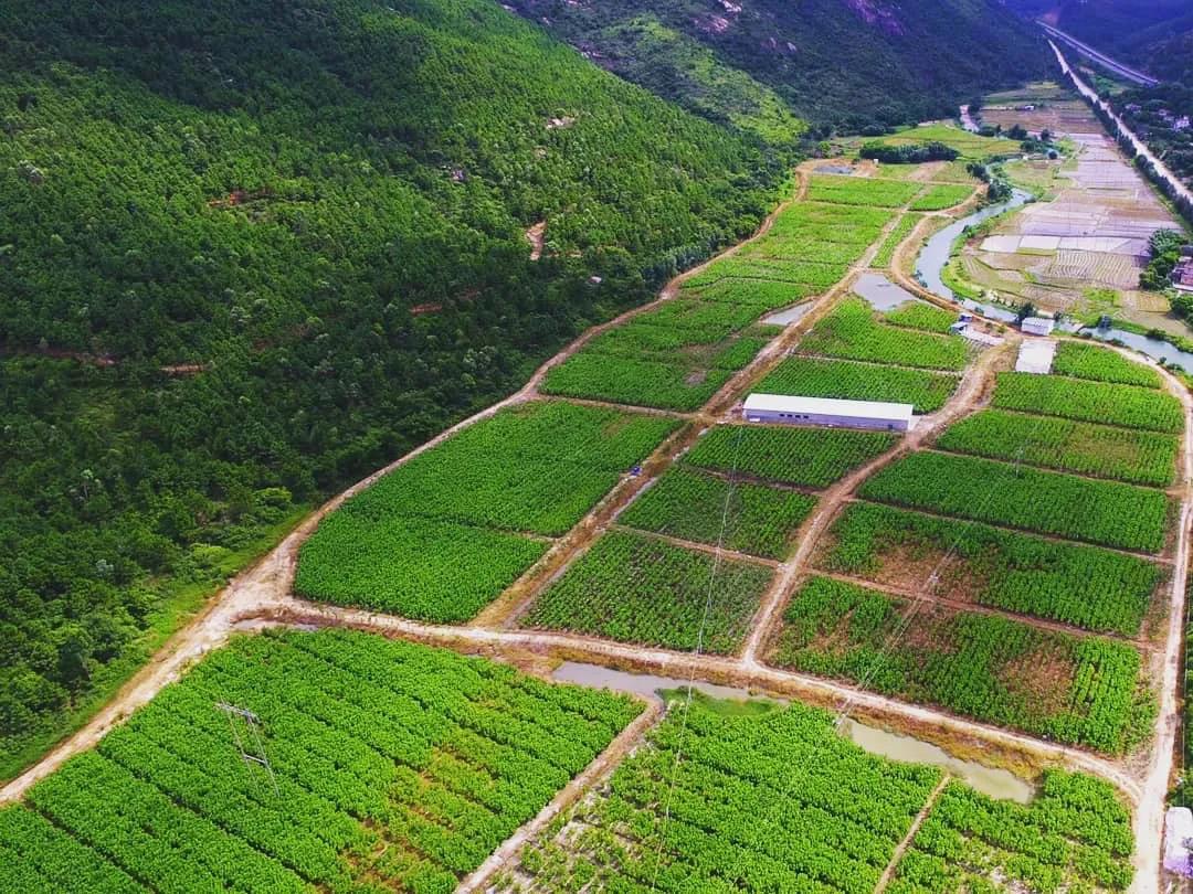 【2019年度广新荣誉体系先进集体系列报道四:羊城集团】坚定信心 奋勇争先 谱写新时代羊城集团全面转型发展新篇章 【2019年度广新荣誉体系先进集体系列报道四:羊城集团】坚定信心 奋勇争先 谱写新时代羊城集团全面转型发展新篇章