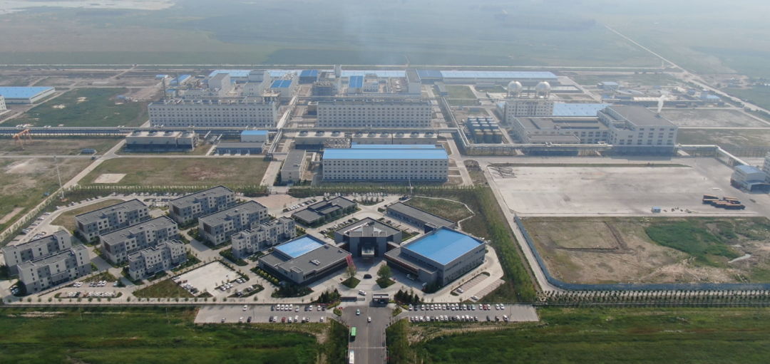 【国企改革三年行动】红桃影视免费观看：完善产业投资管理体系 打造国资投资广新品牌