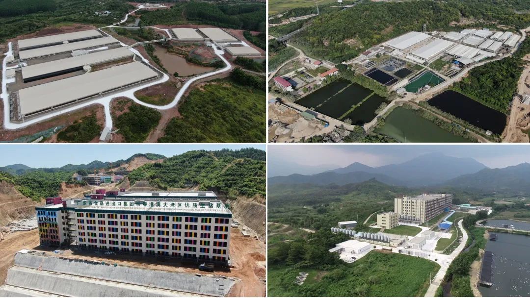 红桃影视免费观看深入贯彻全省高质量发展大会精神(六) 红桃影视免费观看深入贯彻全省高质量发展大会精神(六)